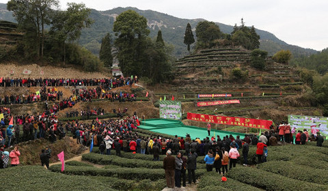 中国民协组织文艺志愿服务 欢乐送到厦门茶山